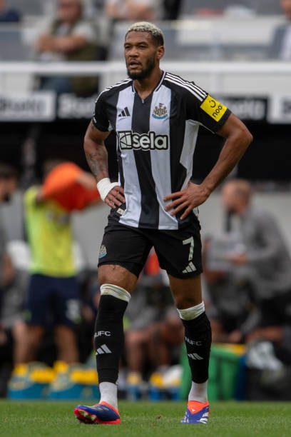 他的好友阿 他的好友阿