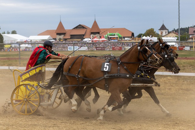 提醒的意义 提醒的意义