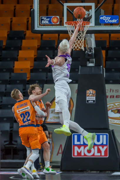 的适应能力 的适应能力